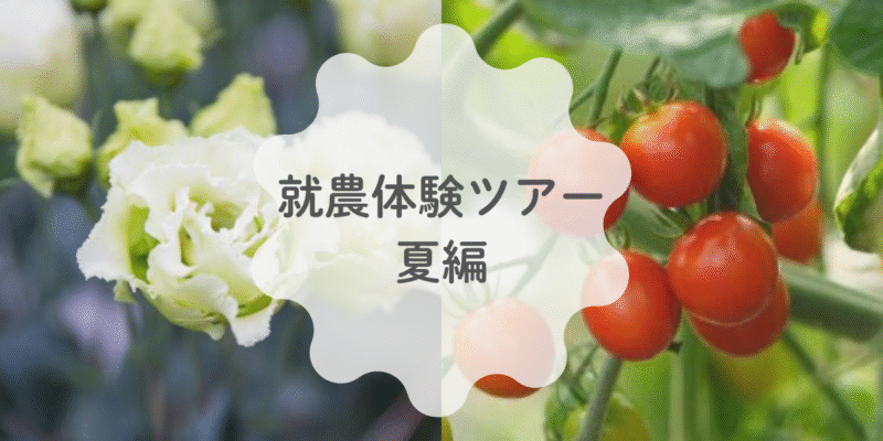 「👨🏻‍🌾就農体験ツアー👨🏻‍🌾（2025年8月23日～24日）」を開催します！
