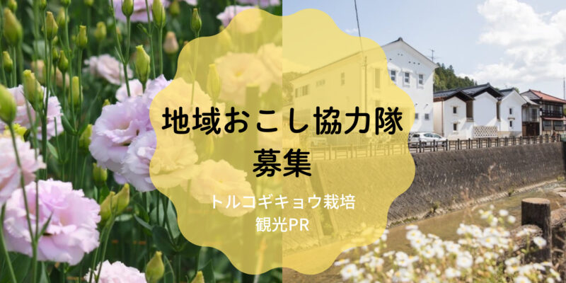 地域おこし協力隊【トルコギキョウ栽培／観光PR】２職種募集中！