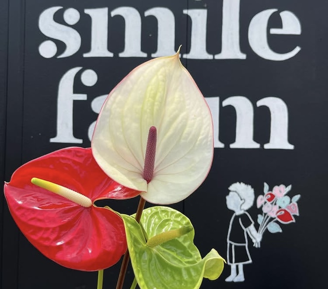 株式会社smile farm